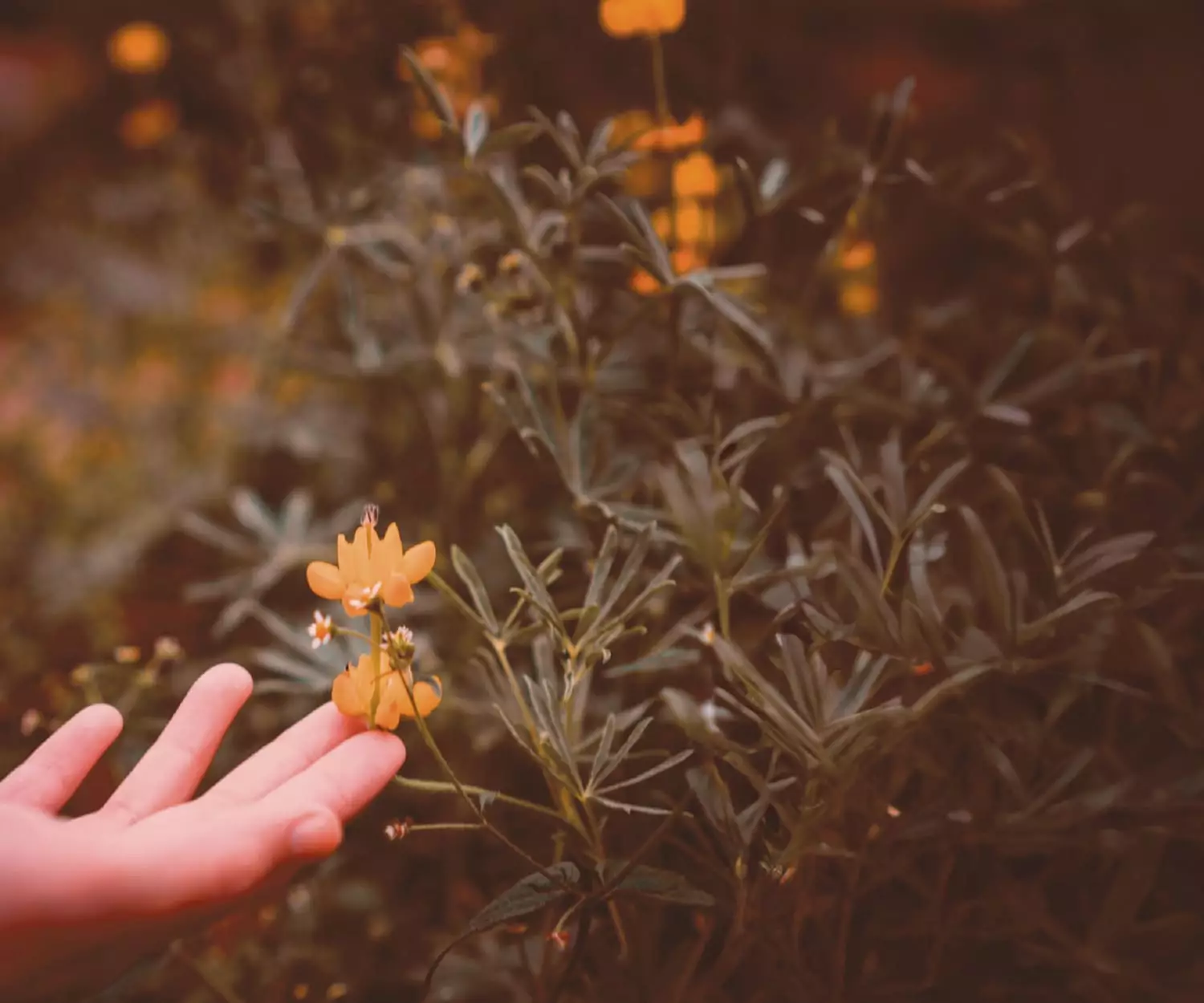  Kabra Embraze Amenity Image 