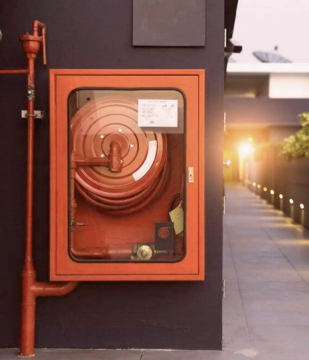  Kabra Embraze Feature Image 